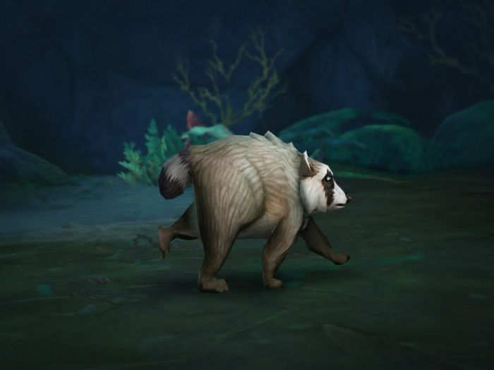 Игровая модель секретного питомца Джимоти в WoW